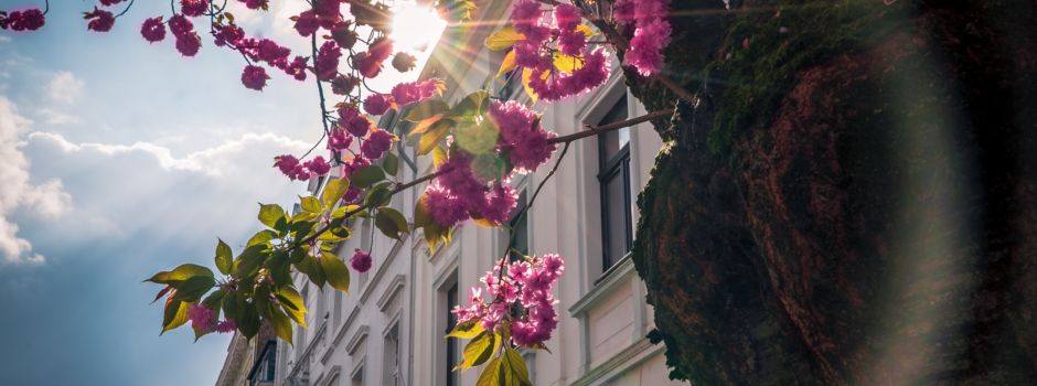 Bismarckviertel – 13 Gründe, diesen Stadtteil zu lieben