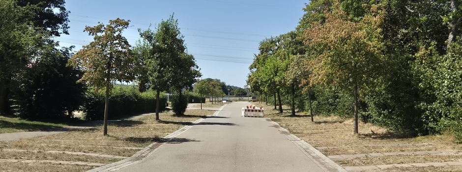 Sanierung Zufahrtsstraße Sportplatz