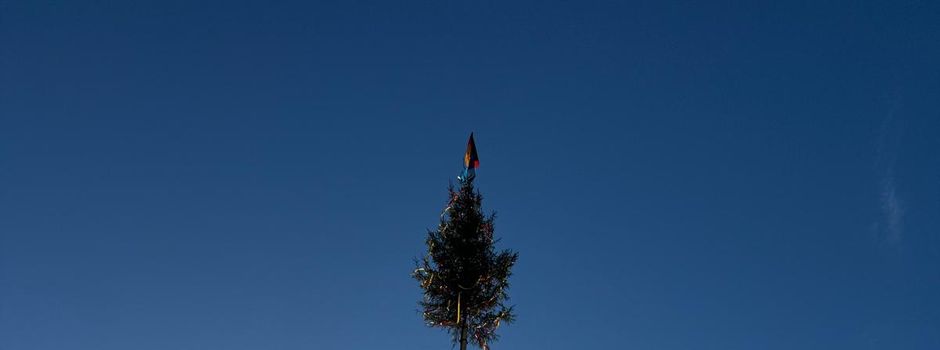 Maibaum 2026🌲