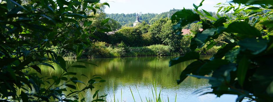 Naturschutzprojekt am Kiessee Braach