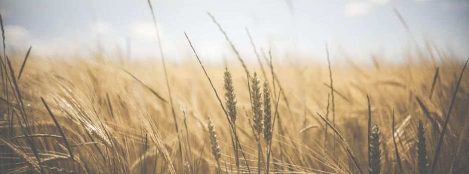 Regionale und moderne Landwirtschaft