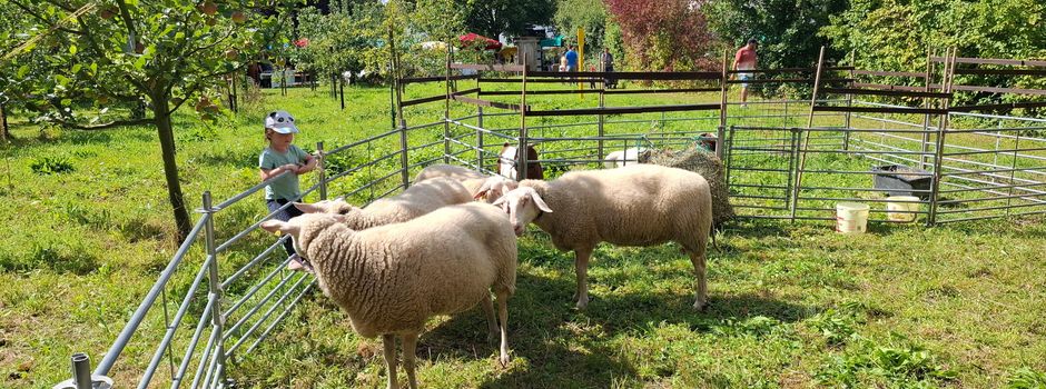 Niederkassel: Ein Tag voller Naturerlebnisse am Lehrteich