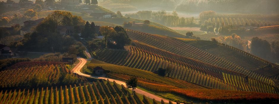 Das Beste aus der Traube: Vinopolis lädt zur Hausmesse