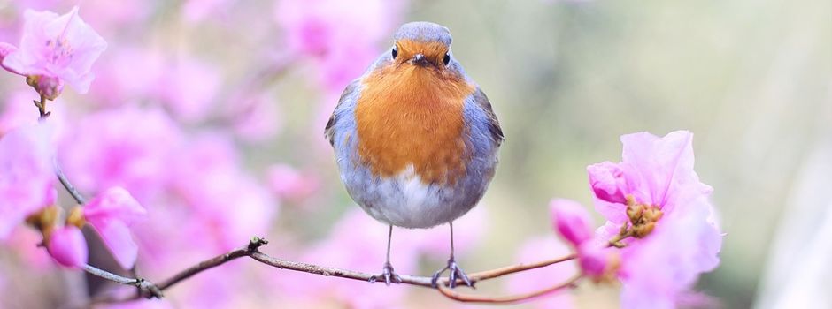 Frühlingsbasar in Erlenbrunn