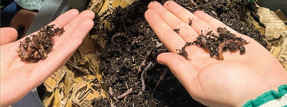 Themenabend "Wurmkiste"