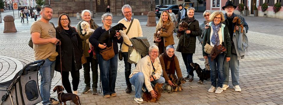 Haustiersegnung am Dom 