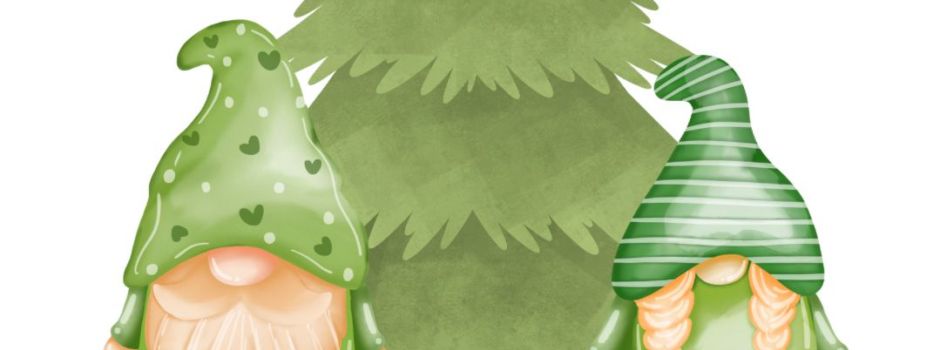 WWW in Mittelreidenbach