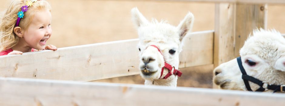 5 Orte, an denen ihr mit Kindern  Tiere besuchen könnt