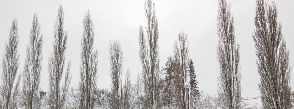 7 Dinge, die ihr in diesem Winter in Augsburg machen solltet