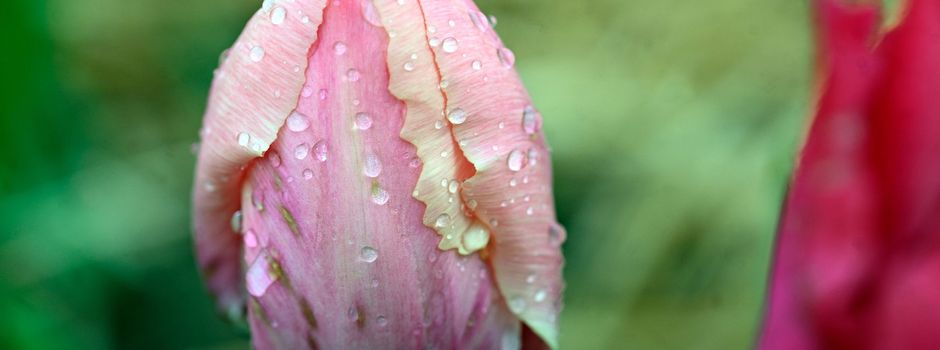 Wolken und Saharastaub: Das Osterwetter wird wechselhaft