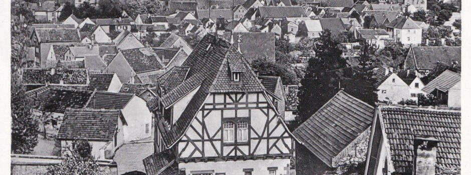 Das historische Bild der Woche. Blick auf Guntersblum.