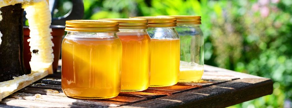 Bienenfest bei Familie Knape