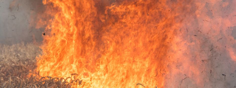 Ausbildung Vegetationsbrand