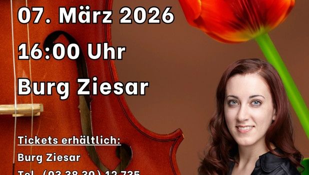 Tulpen aus Amsterdam