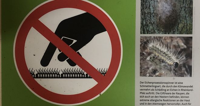 Vorsicht ist geboten