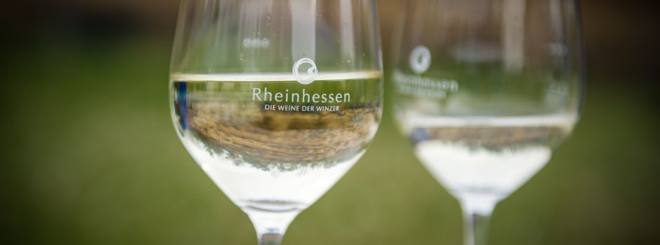300 Weine an zwei Tagen: Mega-Event in Rheinhessen