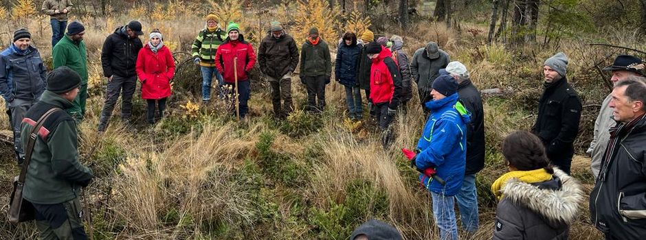 Bericht über den Waldbegang