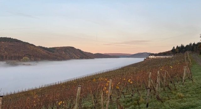 Hofgut Serrig Wettermelder
