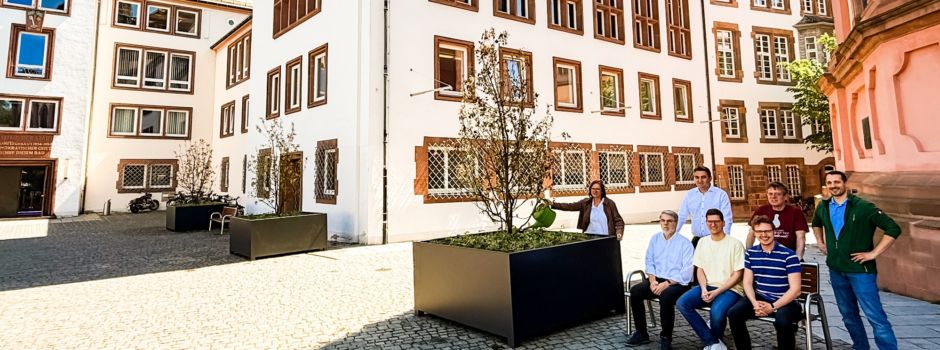 Neue Baumkübel und Sitzbänke auf dem Wormser Marktplatz