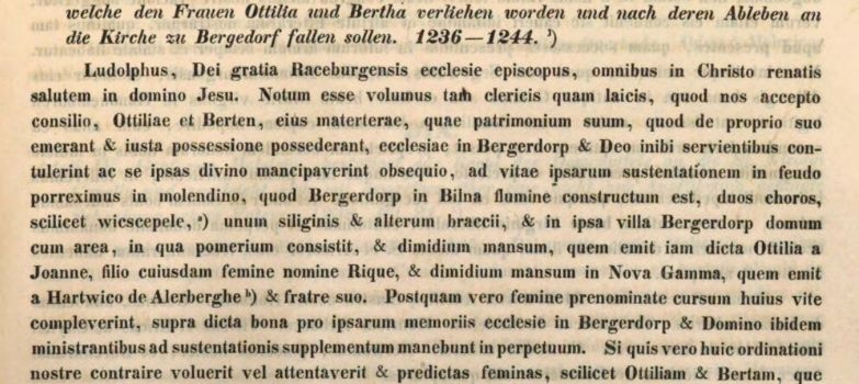 Der erste bekannte Geesthachter – ein Ritter und Kreuzfahrer?