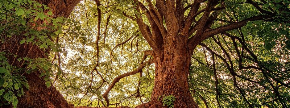 🚧 Vollsperrung Baumweg/Zu den Fischteichen am 02.12.2025 🚧