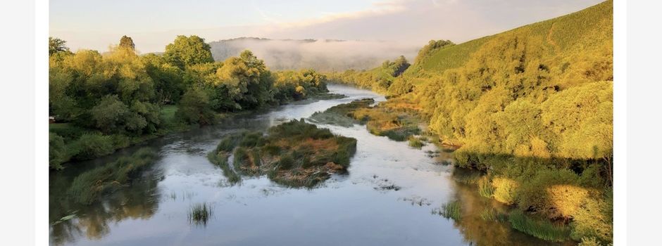 Naturwunder des Jahres 2026 - Abstimmung für den Saarbogen