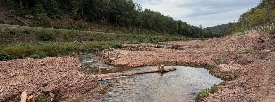 Renaturierung des Moosalbtals bei Steinalben