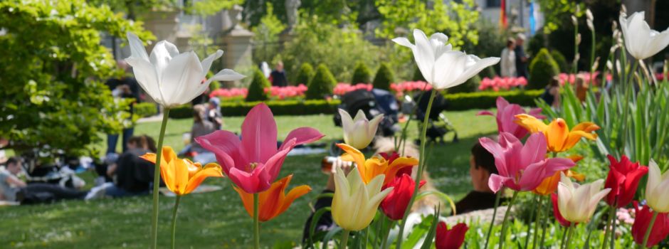 Frühling in Augsburg: Das könnt ihr endlich wieder unternehmen