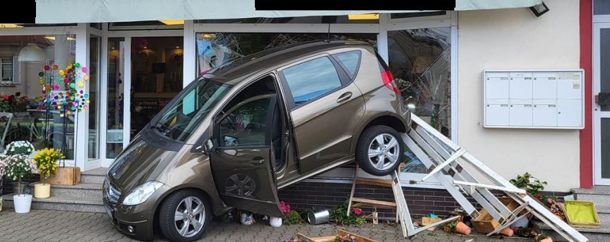 Auto kracht in Blumengeschäft