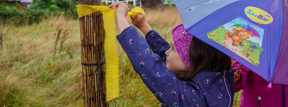 SWR-Beitrag zur Apfelernte in Winzeln