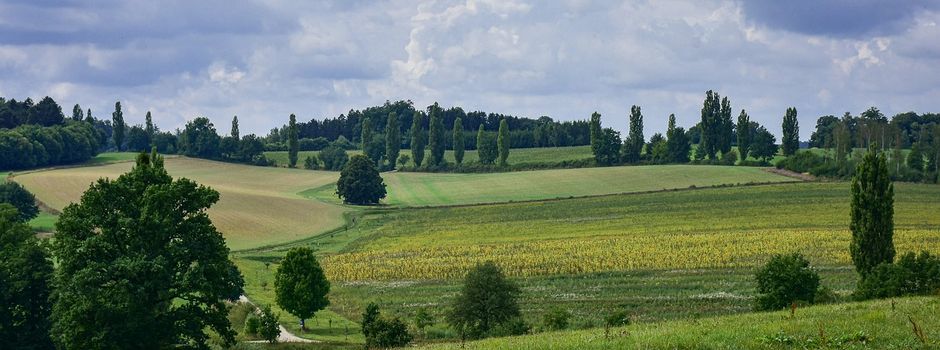 Auffüllung Senkenbereich in der OG Hattert