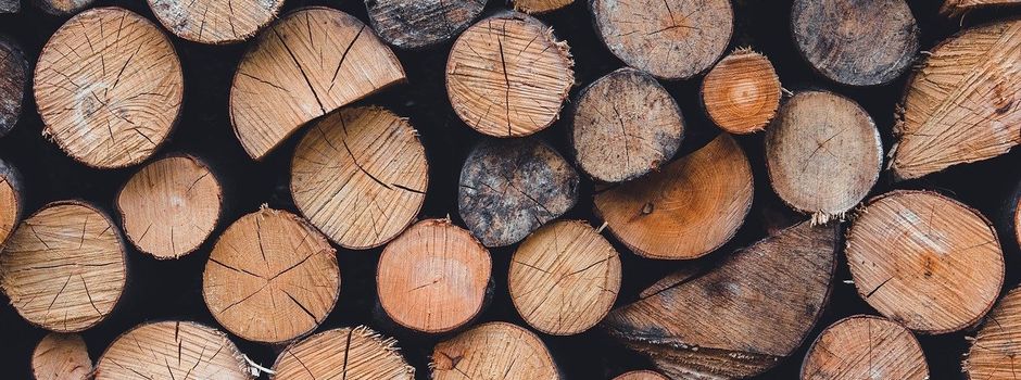 Brennholz-Bestellung jetzt möglich