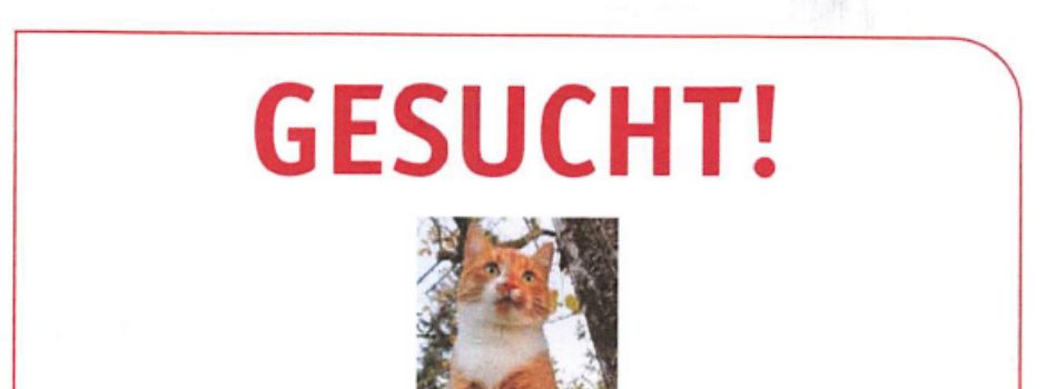 GESUCHT!