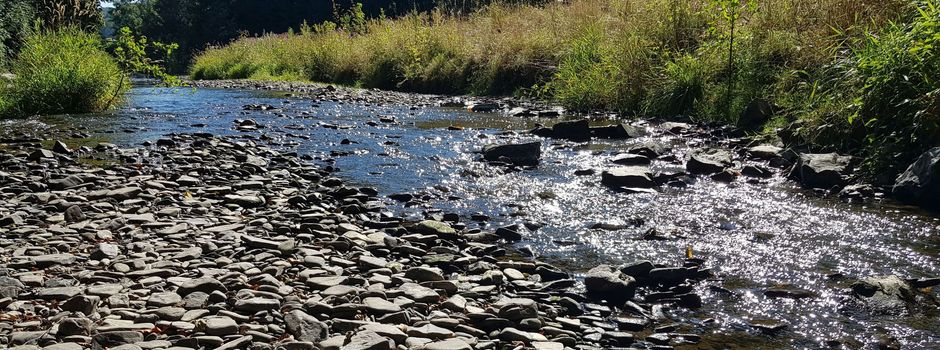 Anhaltende Trockenheit: Kein Wasser aus Flüssen und Bächen entnehmen – Landrat appelliert, Trinkwasser zu sparen