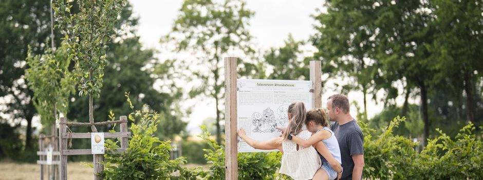Kursprogramm für Botanischen Obstgarten in Wemding