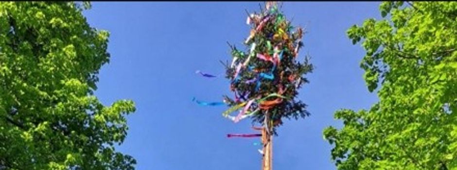 Maibaum, Musik und Maienlust: 
