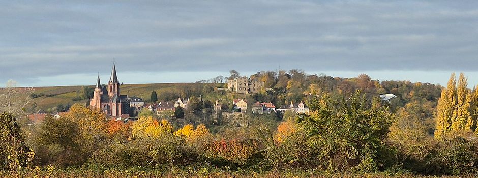 Mehr Grün, mehr Leben: Prof. Petrow referiert über die Zukunft der Oppenheimer Stadtgestaltung