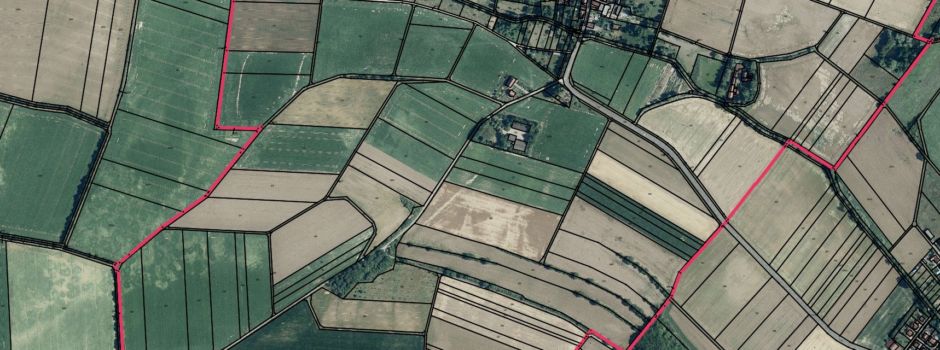 Wo Rittersheim endet, beginnt der Rest der Welt