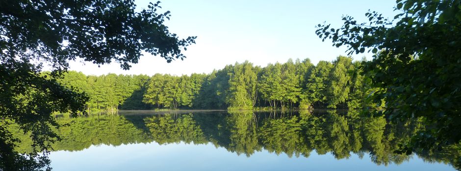 „After work birding“ am Ahlftener Flatt