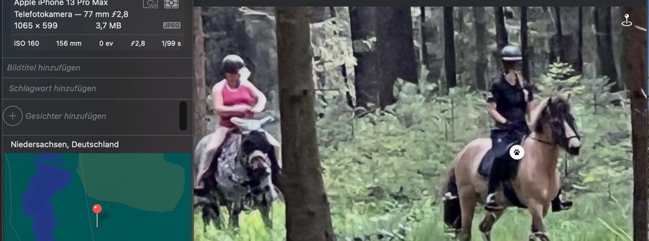 Reiten in der freien Landschaft