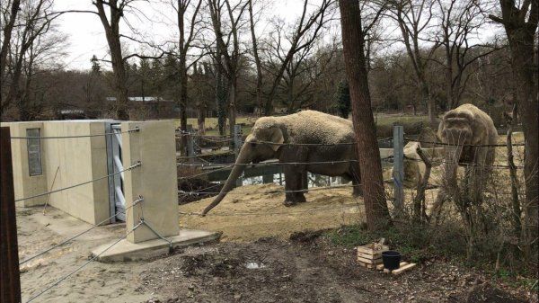 Frühlingserwachen im Augsburger Zoo: Das ist im Februar passiert