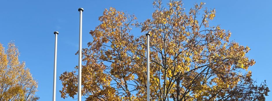 Start der Fastnachtszeit am 11.11. um 11:11 Uhr