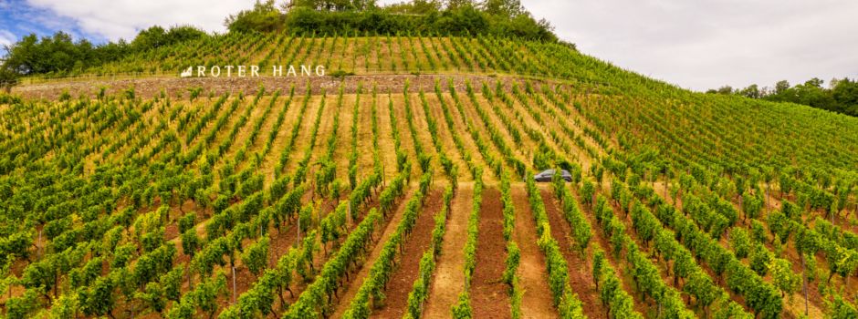 Zwei der besten Rieslinge kommen aus Rheinhessen