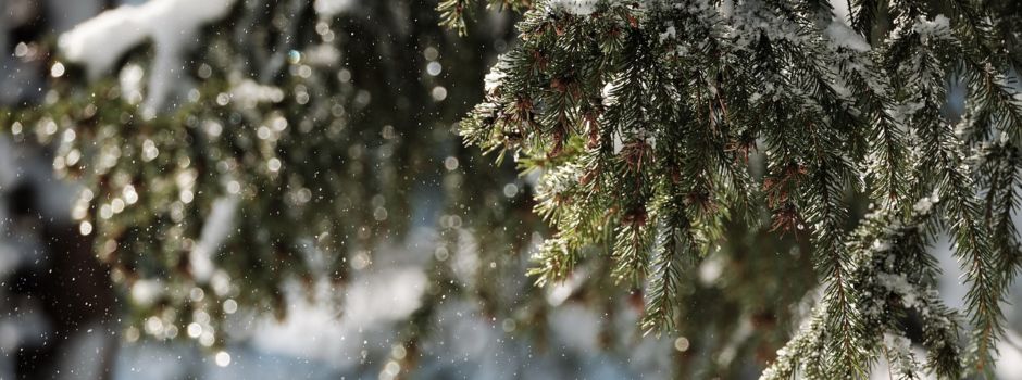 Weihnachten mit der Pfadfindergruppe Pirmasens