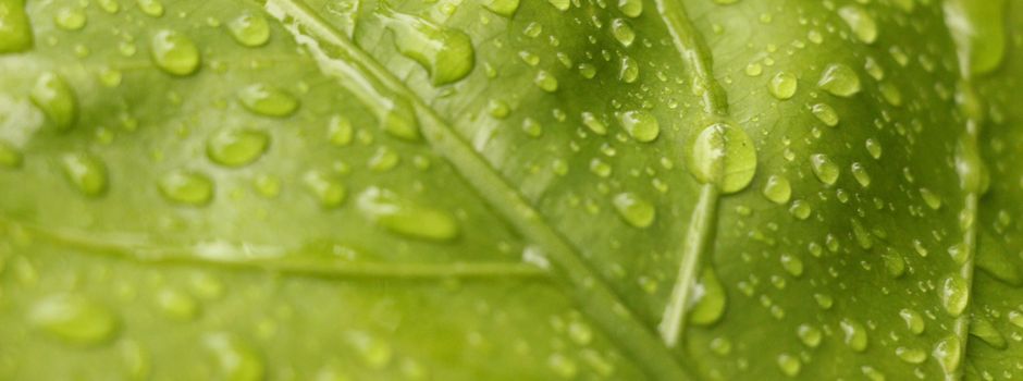 Fair und hochwertig- Was macht die Kleidung von Life Tree so besonders?