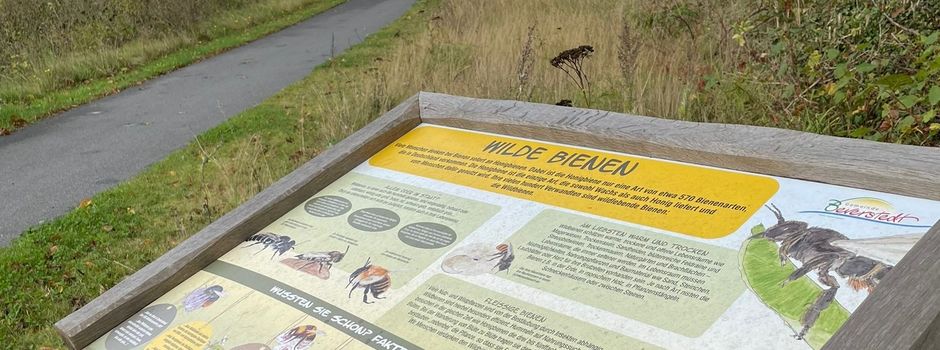 Eine Portion Wissen im Vorbeigehen - mit „Biber-Unterhaltung“ für Kinder 