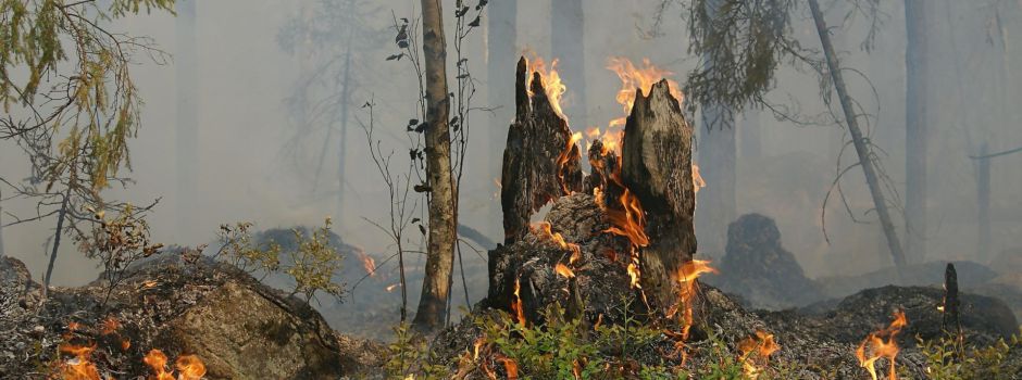 Absolutes Grillverbot auf allen öffentlichen Grillplätzen in Wiesbaden