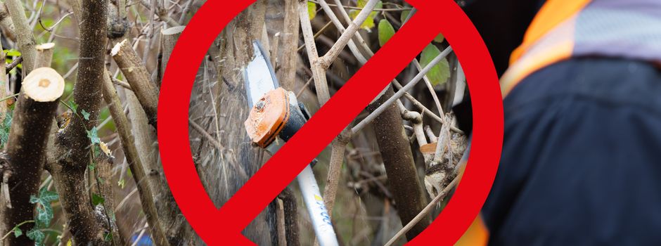 Rückschnitt von Hecken und Gehölzen bis Ende September untersagt