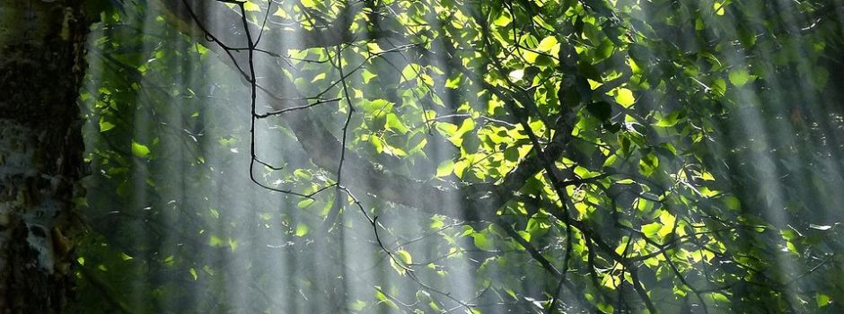 Update: Gottesdienst zu Himmelfahrt wetterbedingt im Ökumenischen Kirchencentrum