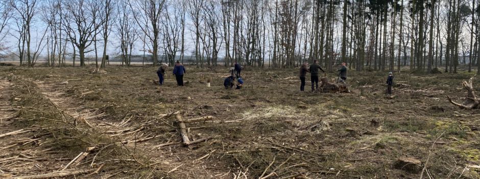 900 Lärchen für den Beseritzer Wald!